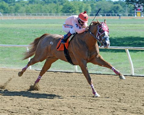 will rogers downs entries 11° High: 79